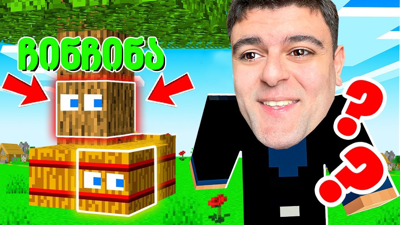 დამალე ბლოკები ჩინჩინასთან ერთად! - Minecraft