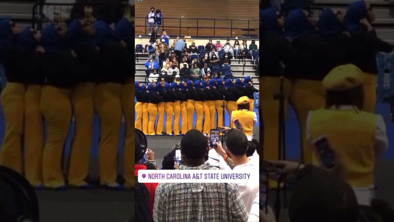 North Carolina A&T Sigma Gamma Rhos Sigma Lean 🐩💛💙