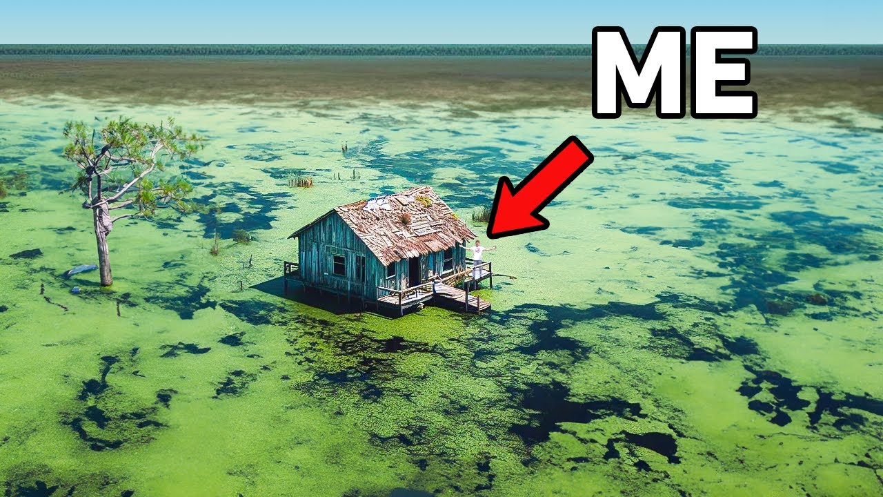 Surviving 50 Hours in a Dangerous Swamp!