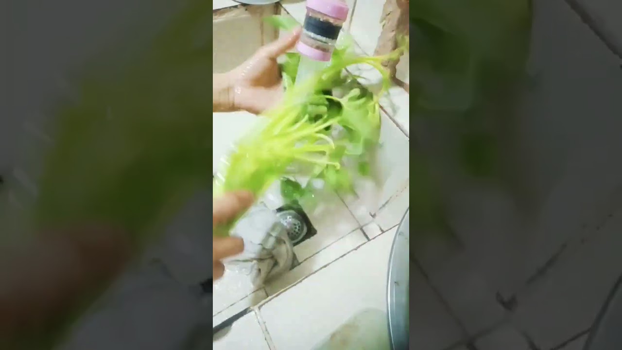 Wash Kangkong #watersounds #asmrsounds #healthy #vegetables#viral#shortsvideo #trending