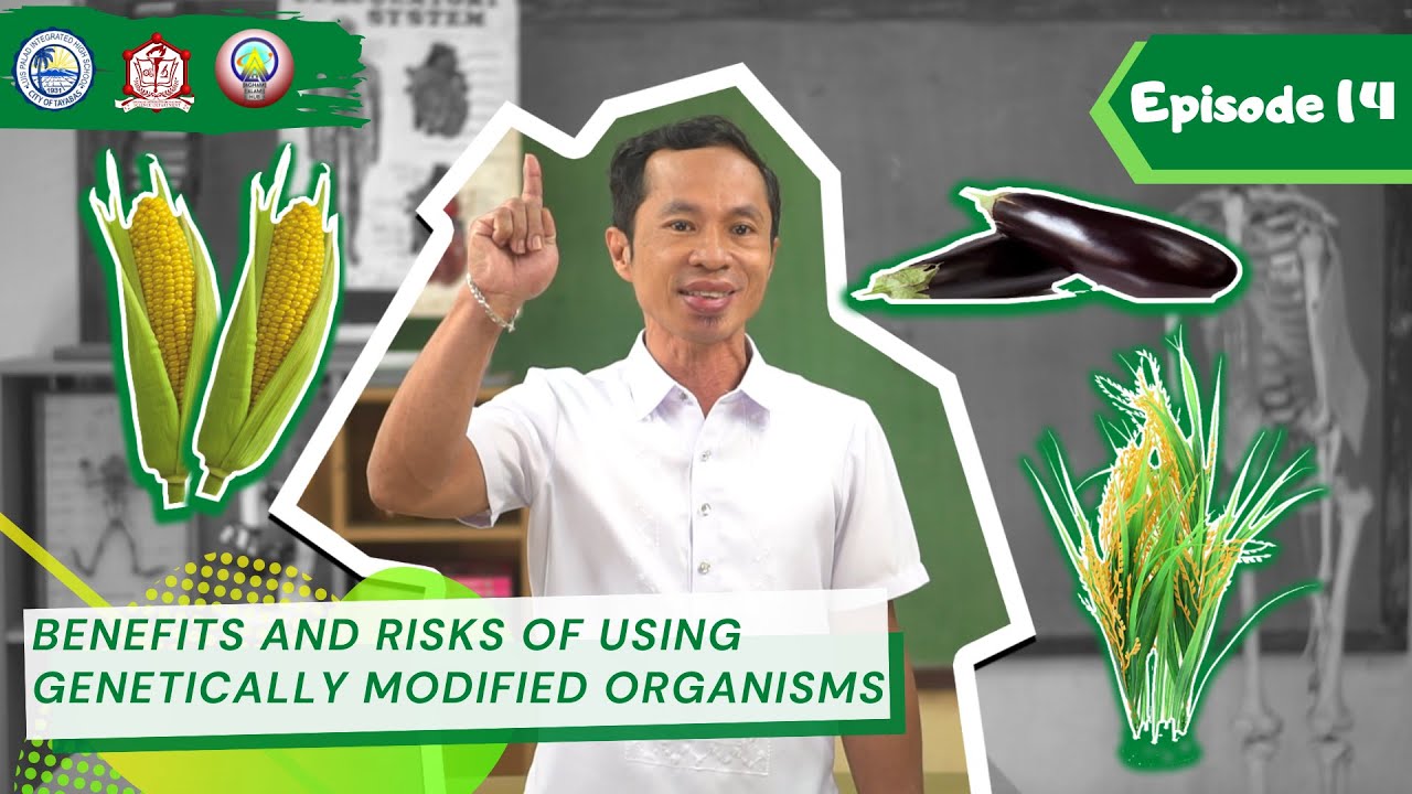 AAH Episode 14: Benefits and Risks of Using Genetically Modified Organisms