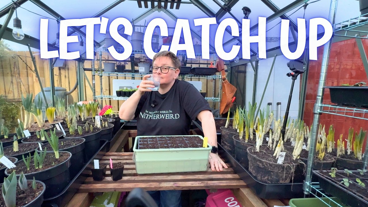 Just Me, the greenhouse, and a bit of everything