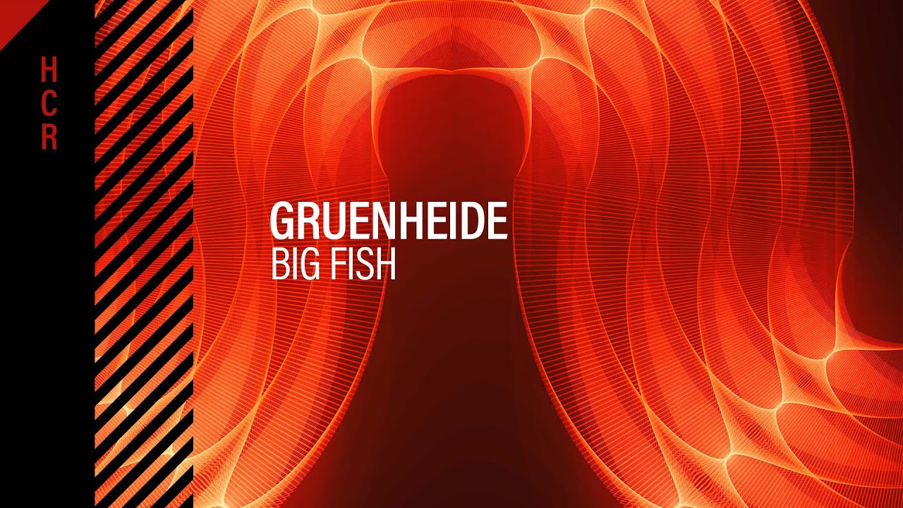 GRUENHEIDE - Big Fish [High Contrast Recordings]