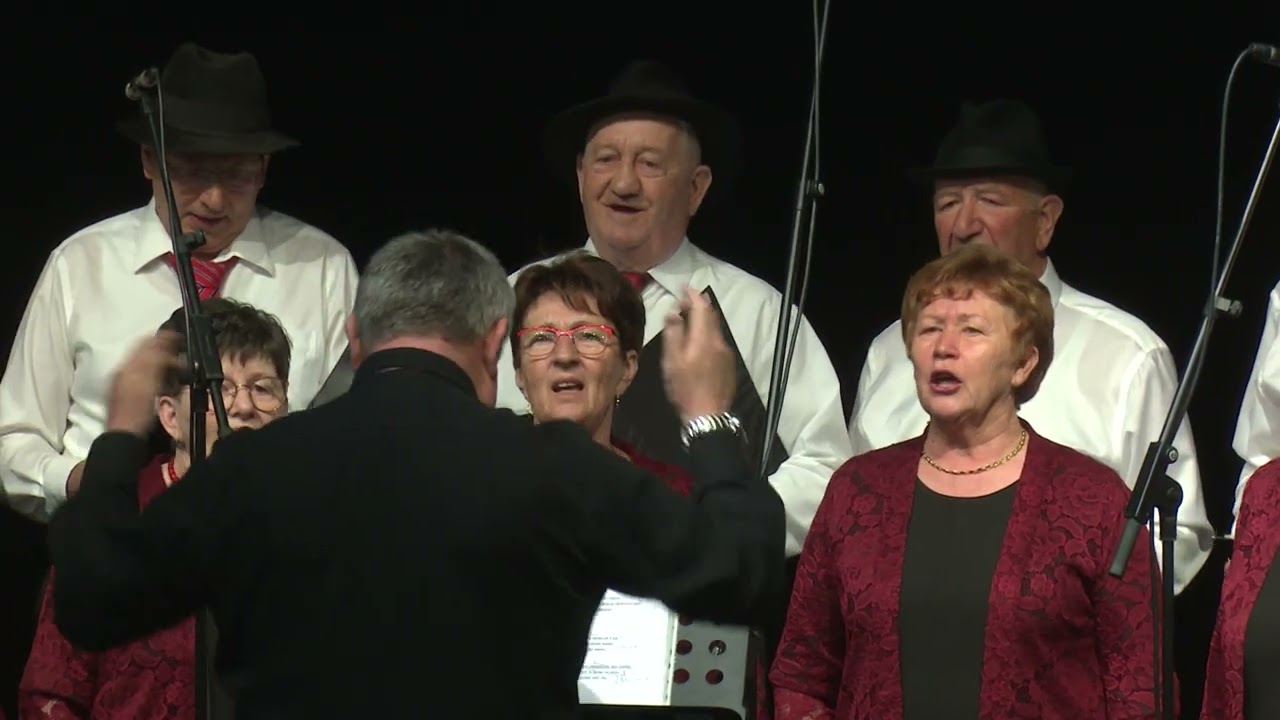 Koncert Ljudskih pevcev Vrhpolje, 15.03.2025