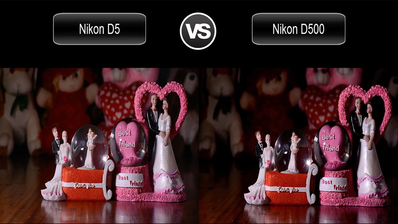 Nikon D5 vs Nikon D500 Video Test