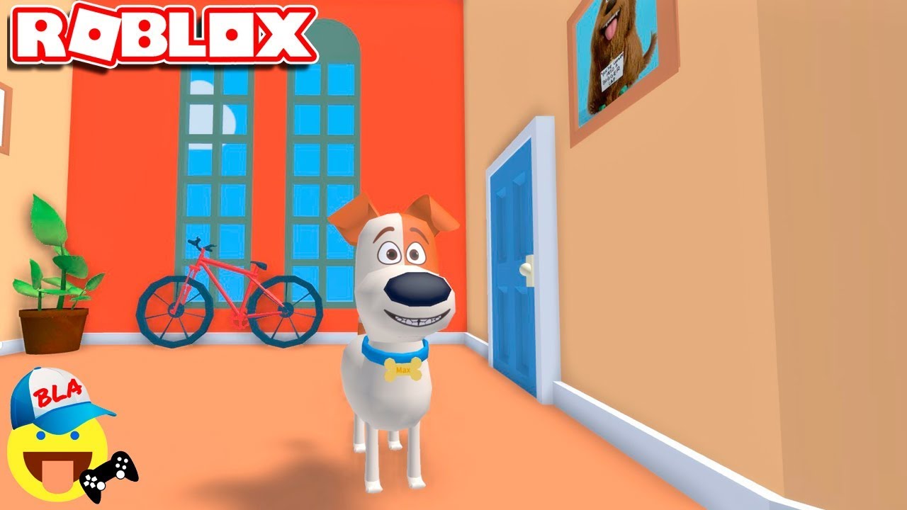 СЕКРЕТЫ ДОМАШНИХ ЖИВОТНЫХ Обби в Роблокс - Roblox Escape Pets Obby