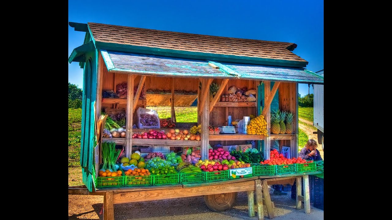 Public Health Nutrition