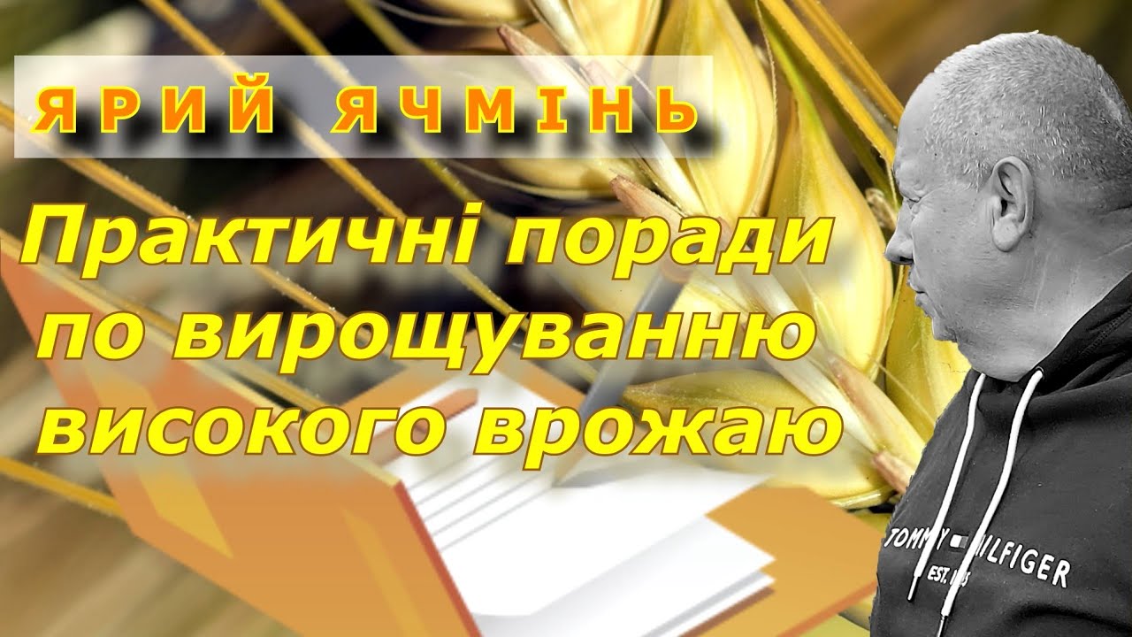 Ярий ячмінь. Практичні поради по вирощуванню високого врожаю.
