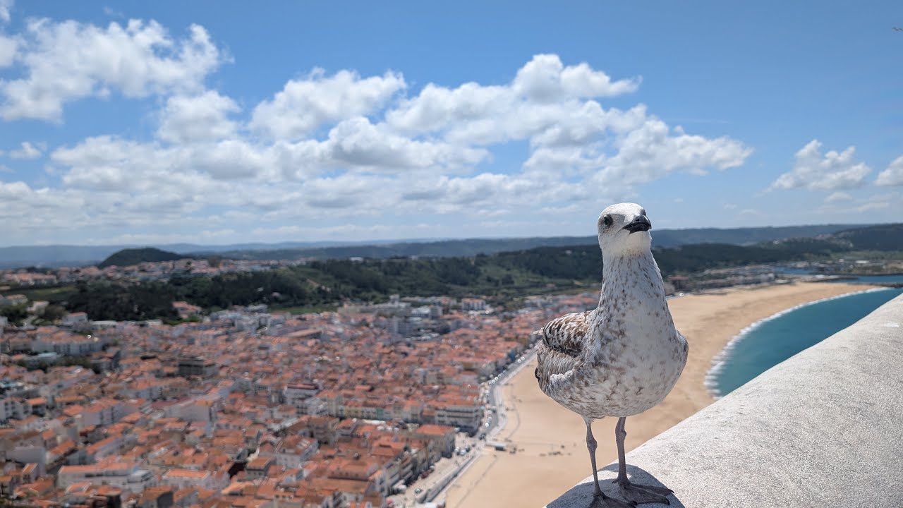 Guy et Linda, au Portugal