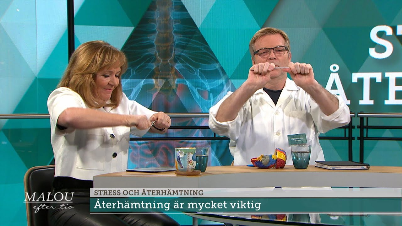 Stress utan återhämtning gör din hjärna mindre  - Malou Efter tio (TV4)
