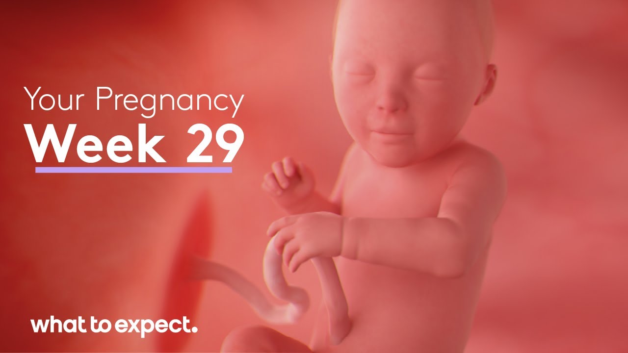 29 Weeks Pregnant - What to Expect