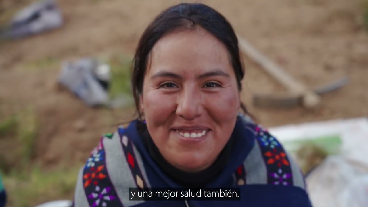 Los cultivos perdidos de los Incas: yacón, maca y otras raíces y tubérculos andinos