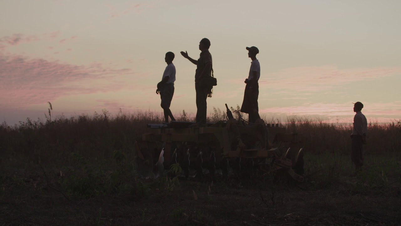 The Elephant Project - Human-Elephant Conflicts