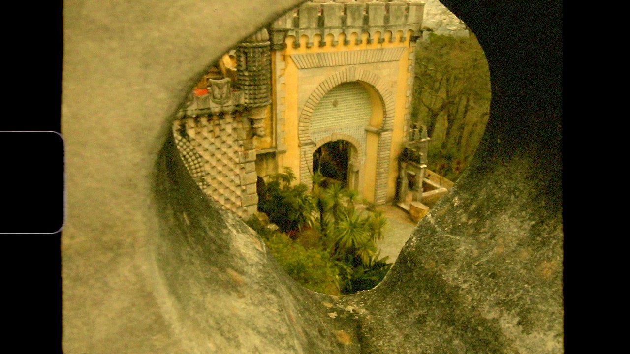 Laurie Shaw - Micro/Film