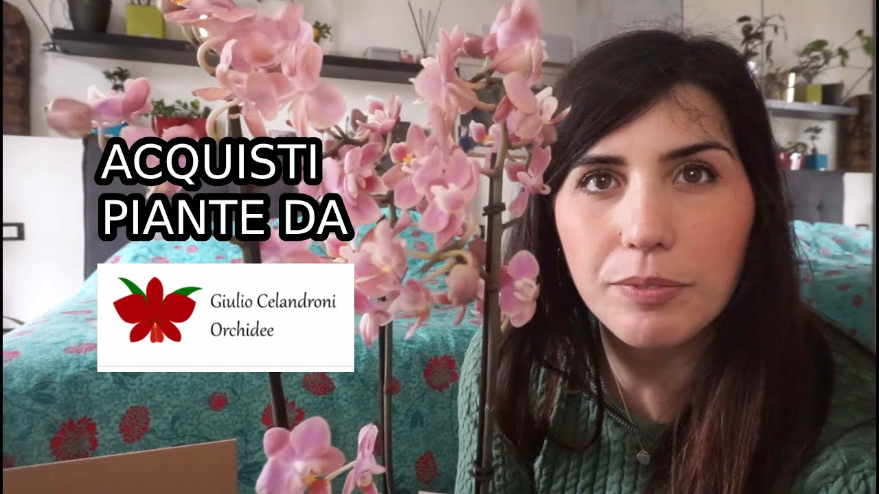 ACQUISTI ORCHIDEE!