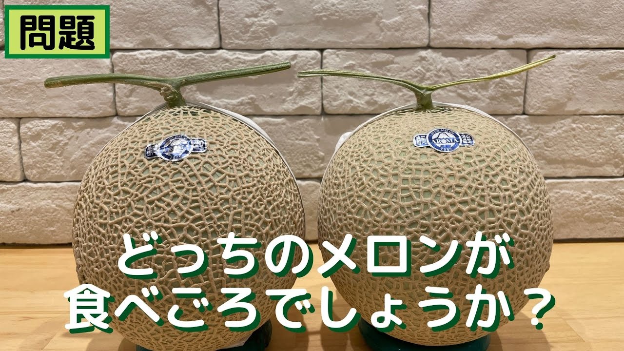 美味しいメロンを選ぶ２つのポイント【糖度とメルト感】