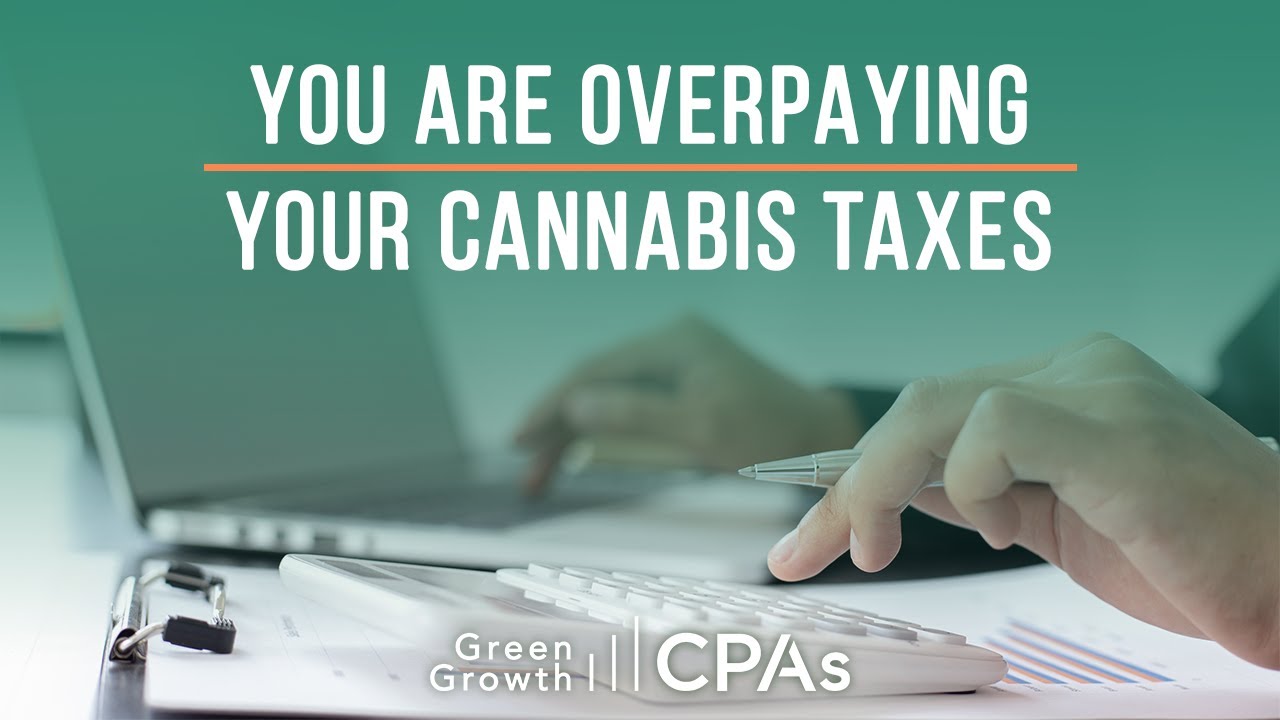How Filing Local Cannabis Business Taxes Incorrectly Will Cost You