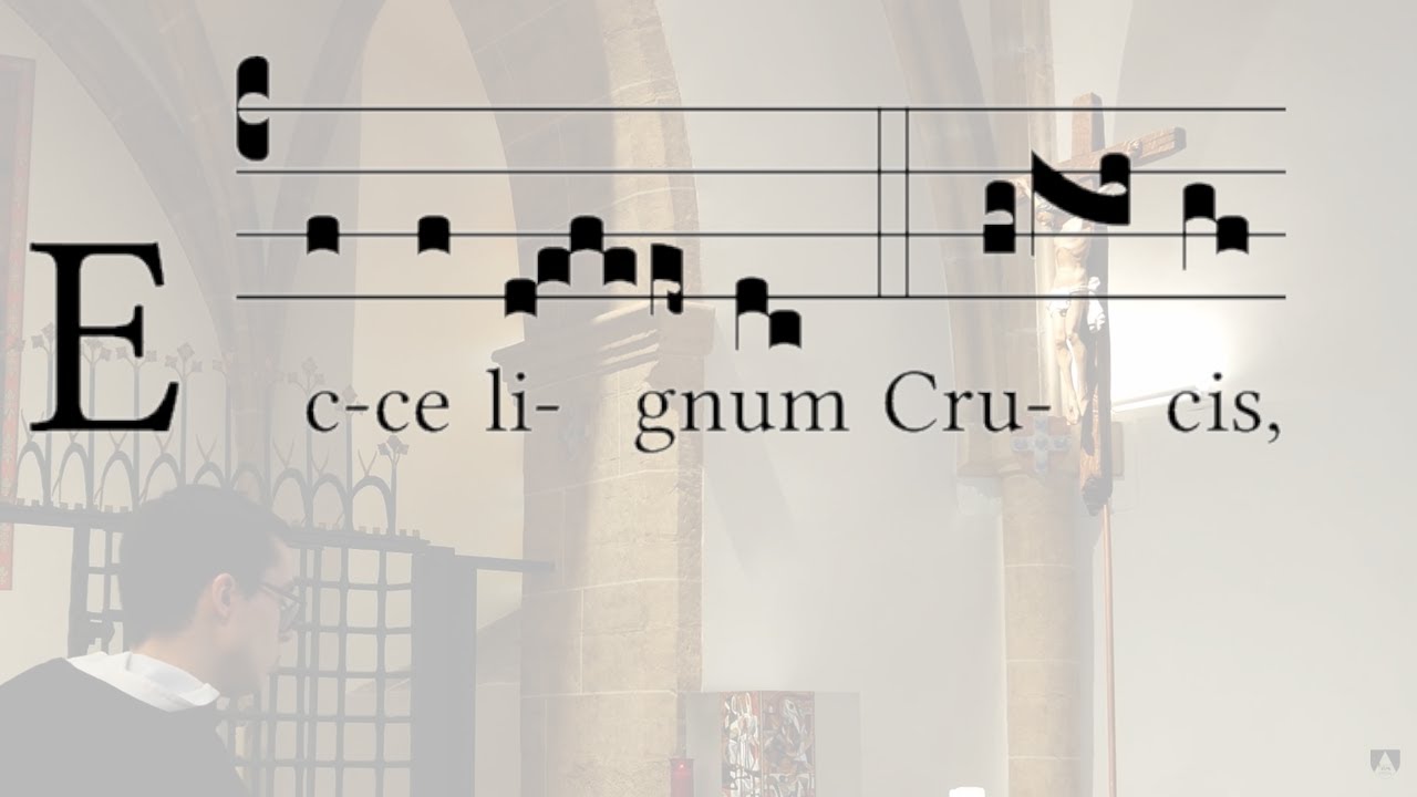 Ecce lignum O.P. (Feria VI in Passione et Morte Domini)