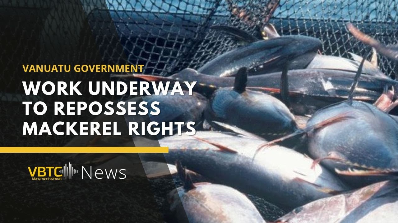 Work underway to repossess Vanuatu Mackerel rights | VBTC News