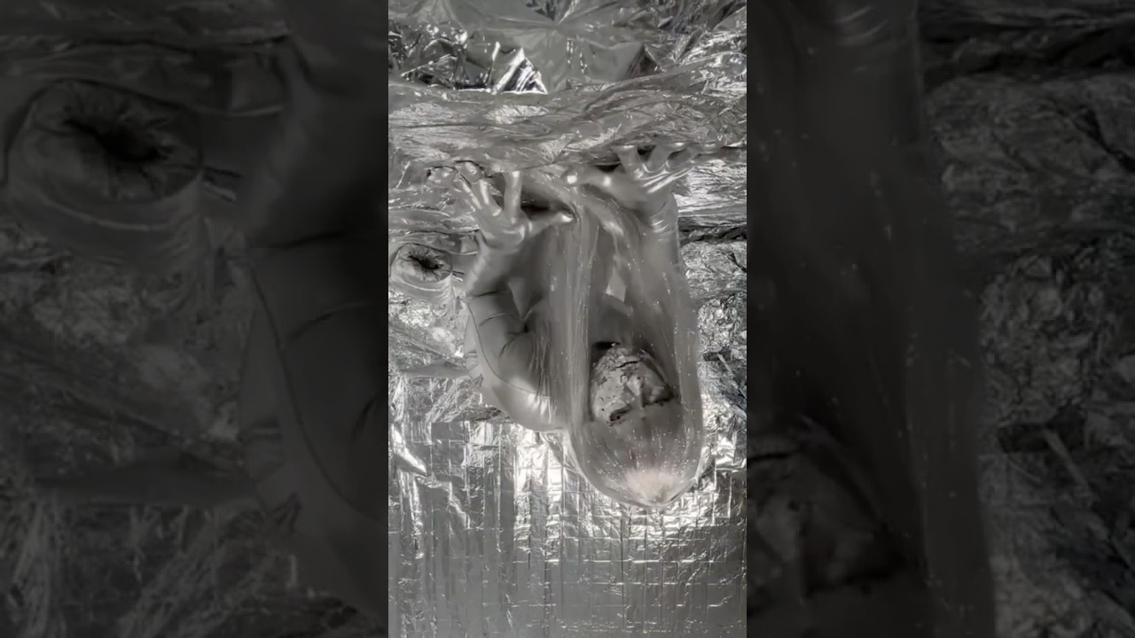 Silver Alien AI Rolling 
