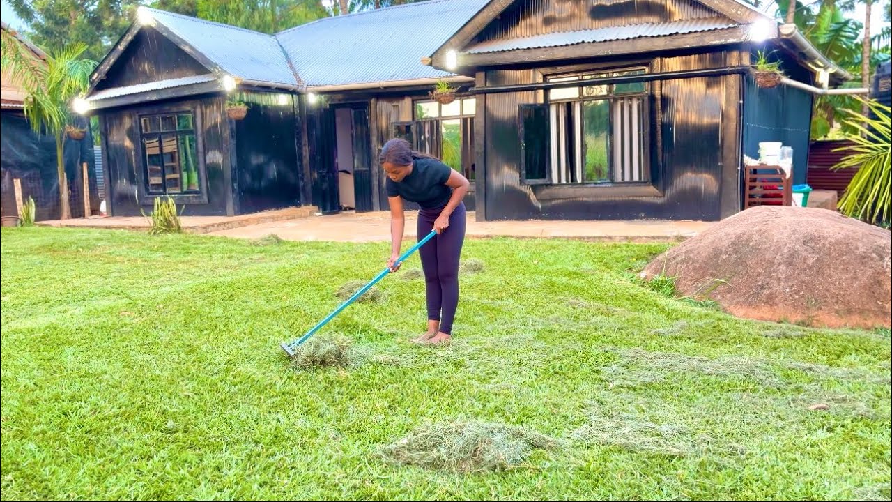 From City to Countryside. My New Life in the Village 👩🏽‍🌾