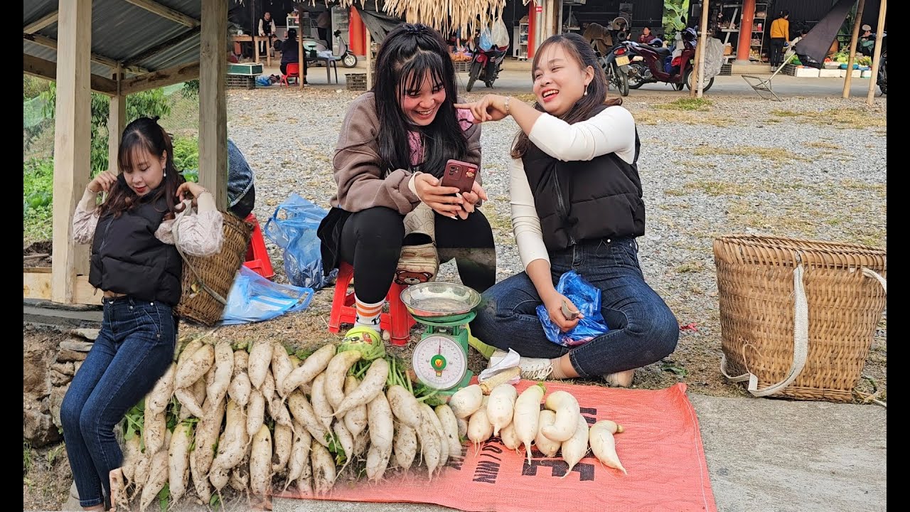 Harvest white radishes and bring them to the market to sell