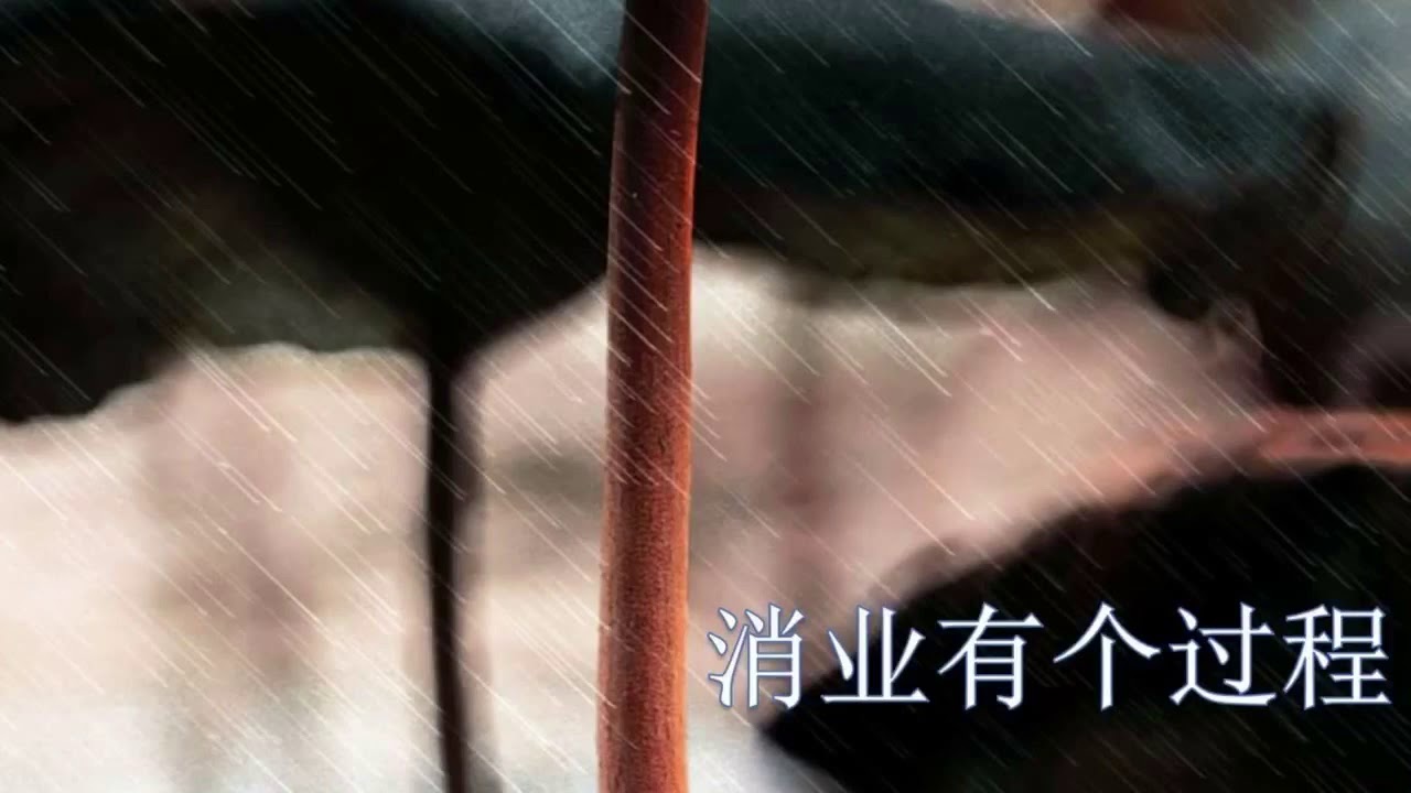 为何法布施后业障反现前；消业有个过程，学会用因果看事情 【卢台长 心灵法门】