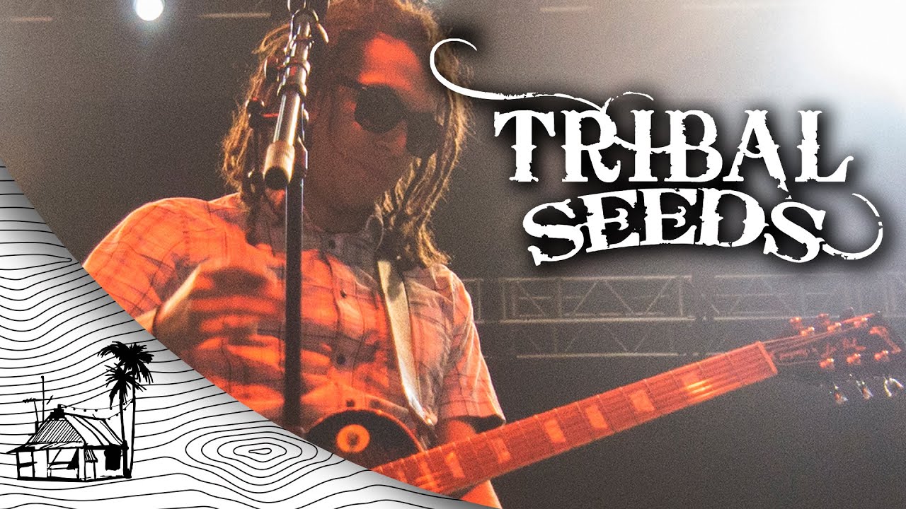 Tribal Seeds - Gun Smoke (Live at Reggae Rise Up Florida)