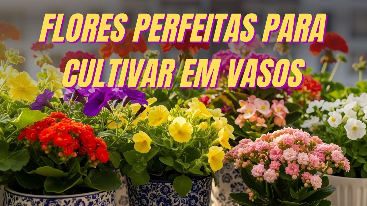 As 10 Melhores Flores Para Vaso Que Florescem MUITO e São Fáceis de Cuidar