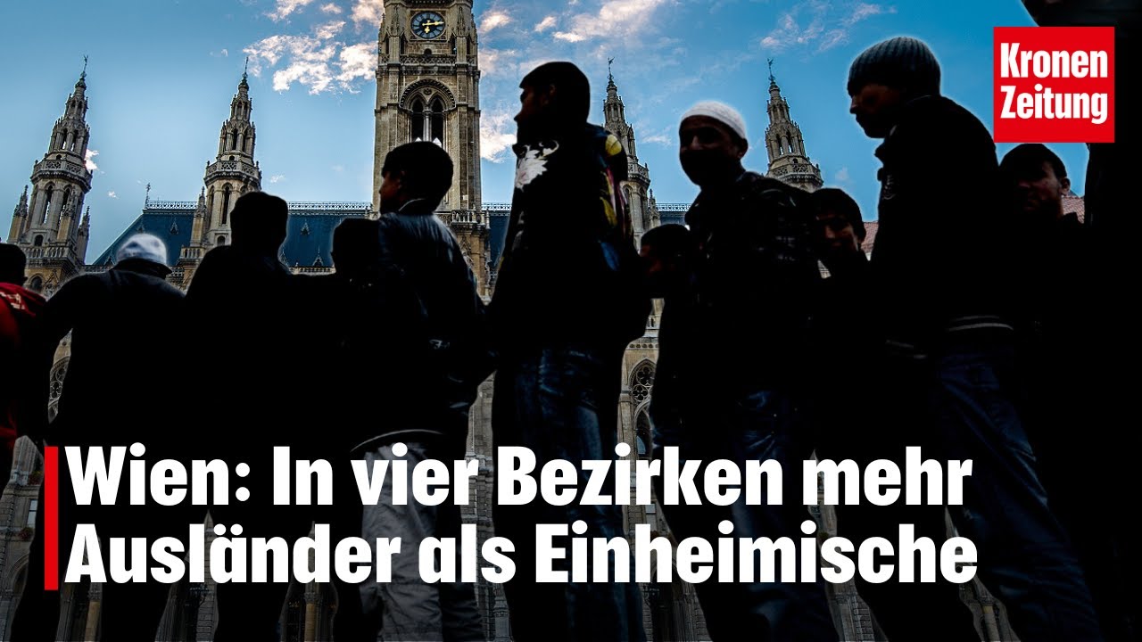 Studie ortet "Milieus mit desintegrativen Tendenzen" | krone.tv NEWS