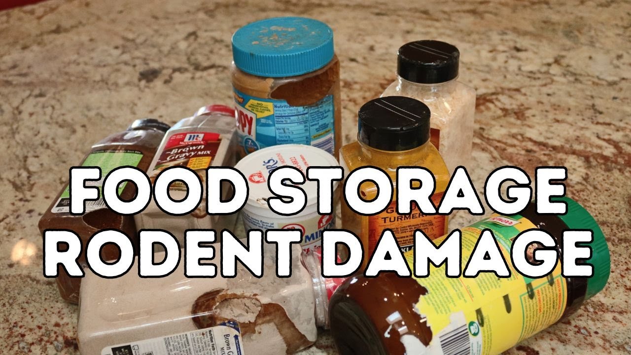 Food Storage Rodent Damage
