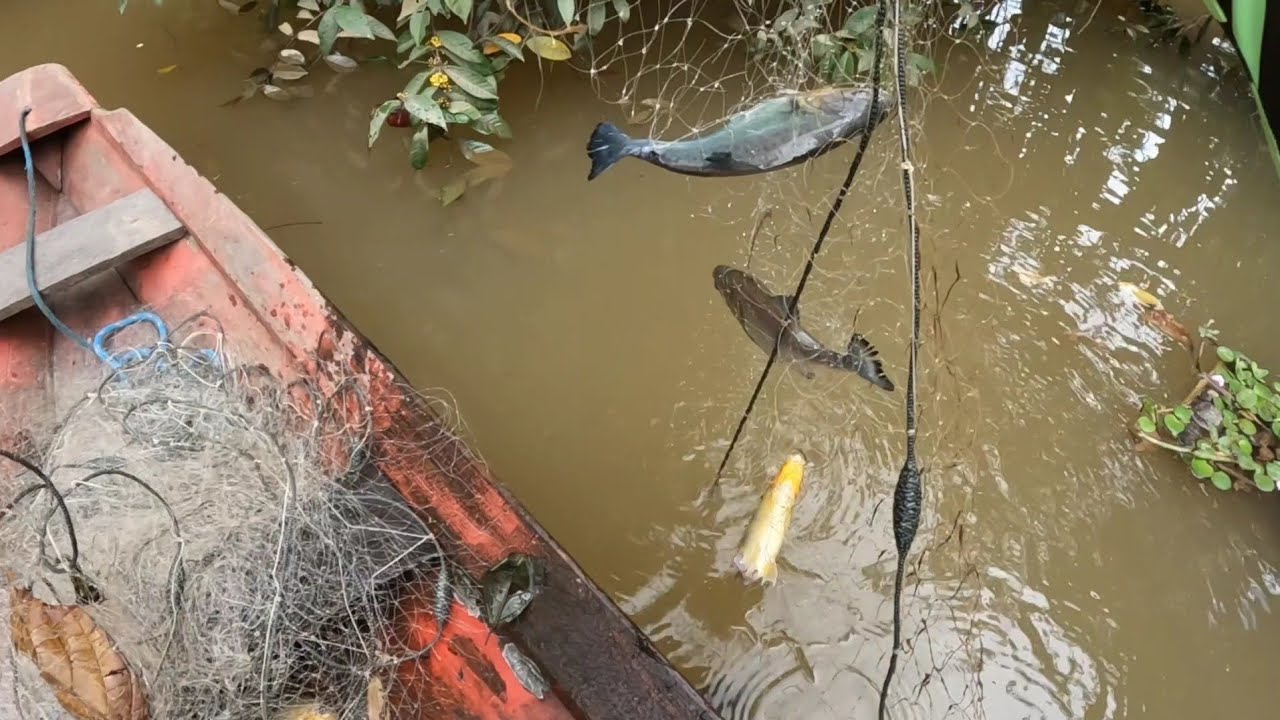 Maré tava boa pra pesca, vejam!