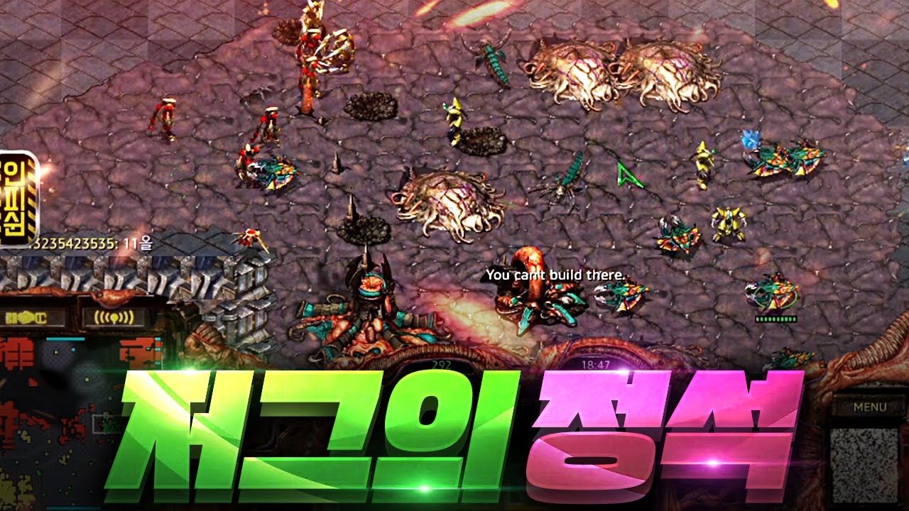 빨무 저그의 정석📌 이렇게만 하시면 됩니다