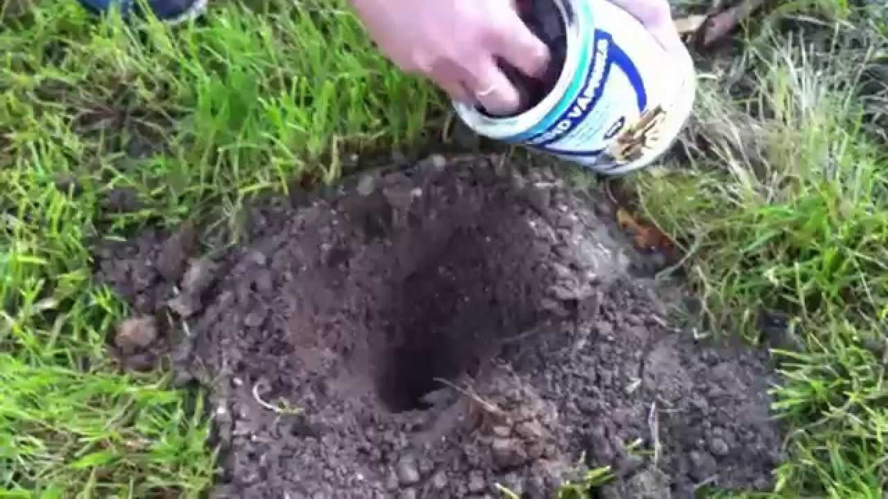 Karbid vápnika - Ako si poradiť s krtkom