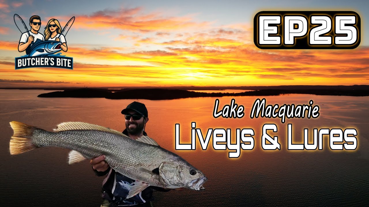 Butchers Bite Ep 25 - Live Bait Goes BIG! Yakka, Slimeys, Mulloway & More!
