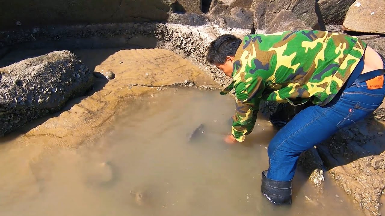 风浪越大鱼越贵，阿阳专挑大风天对潮坑下手，一窝值钱货全端了