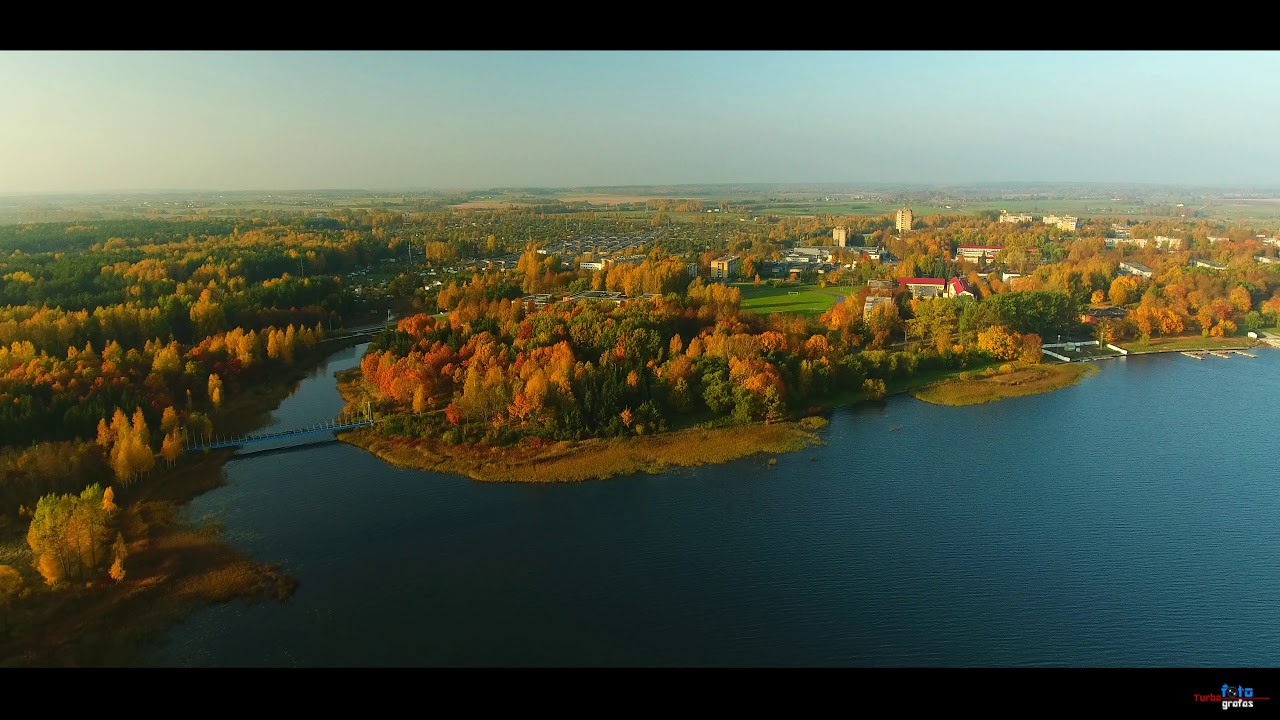 Auksiniai Elektrėnai 4K