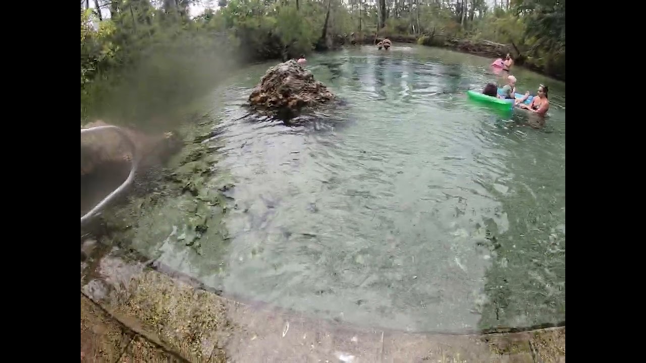 Williford Springs Florida