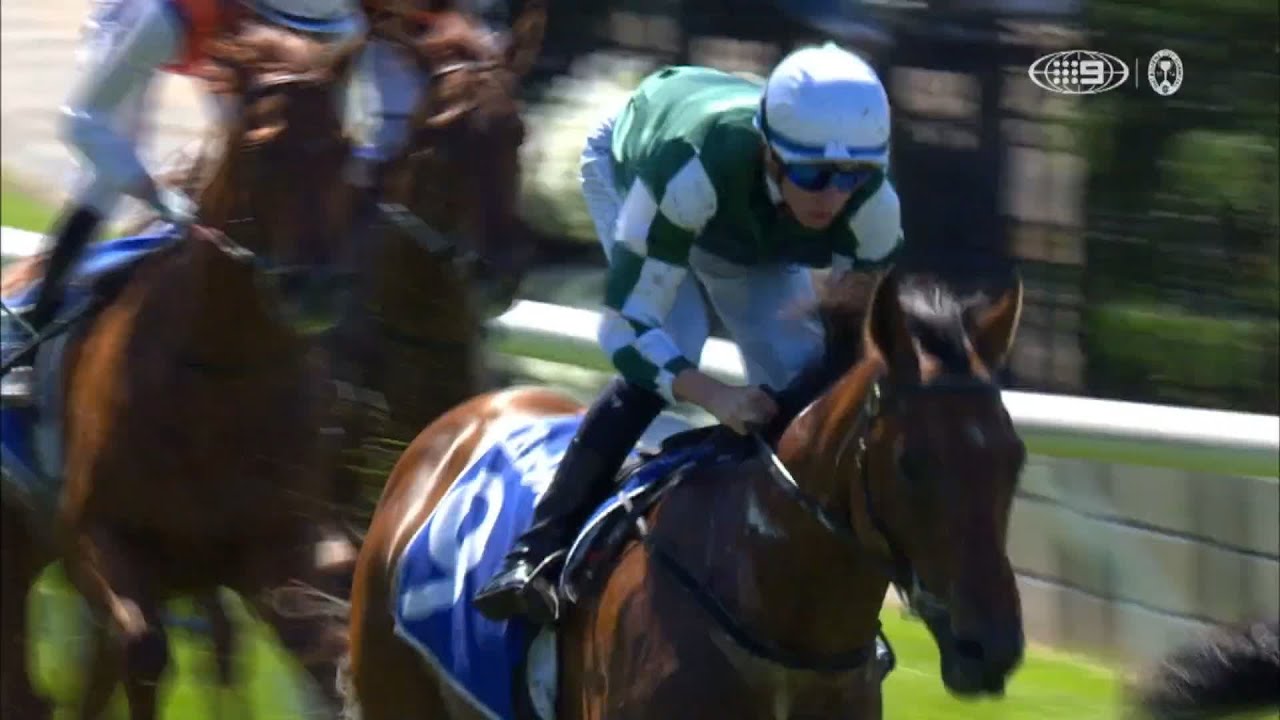 Tycoon Star &ndash; Darley Maribyrnong Plate &ndash; Lexus Melbourne Cup Day, Race 1