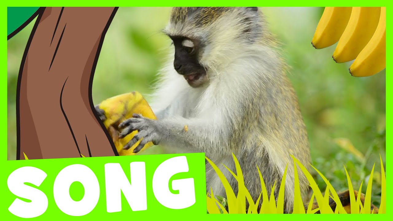 Banana Tree | Simple Songs for Kids