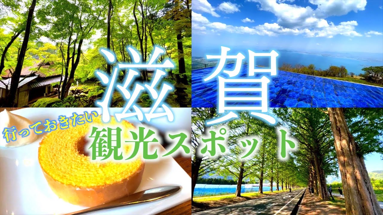 【滋賀旅行】滋賀県の行っておきたい絶景観光スポット！自然が最高すぎるドライブ旅！　滋賀/琵琶湖/メタセコイア/白髭神社/びわ湖バレイ/教林坊
