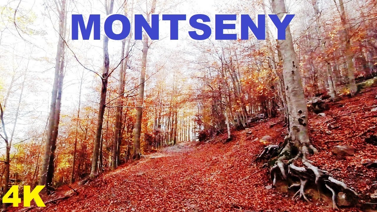 4K Montseny Lost in the Mountain 2022 Barcelona Spain