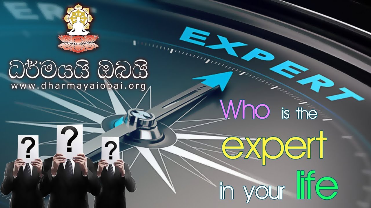 BBE 01 ''Who is the expert of your life
