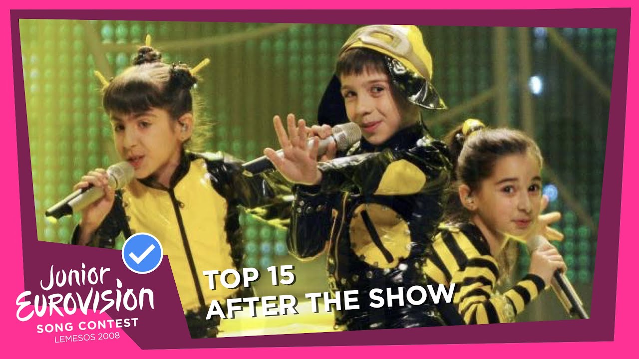 Junior Eurovision 2008: TOP 15 (After The Show)