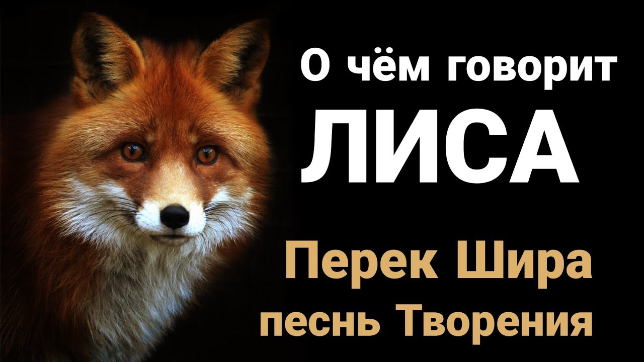 О чём говорит Лиса. Перек Шира. Песнь Творения!