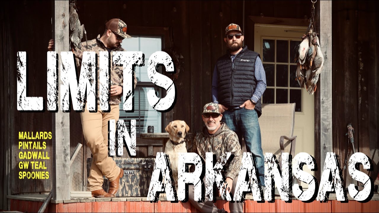 Duck Hunting Flooded Rice Fields | 6 Man Limit in Arkansas | Beautiful Mixed Bag
