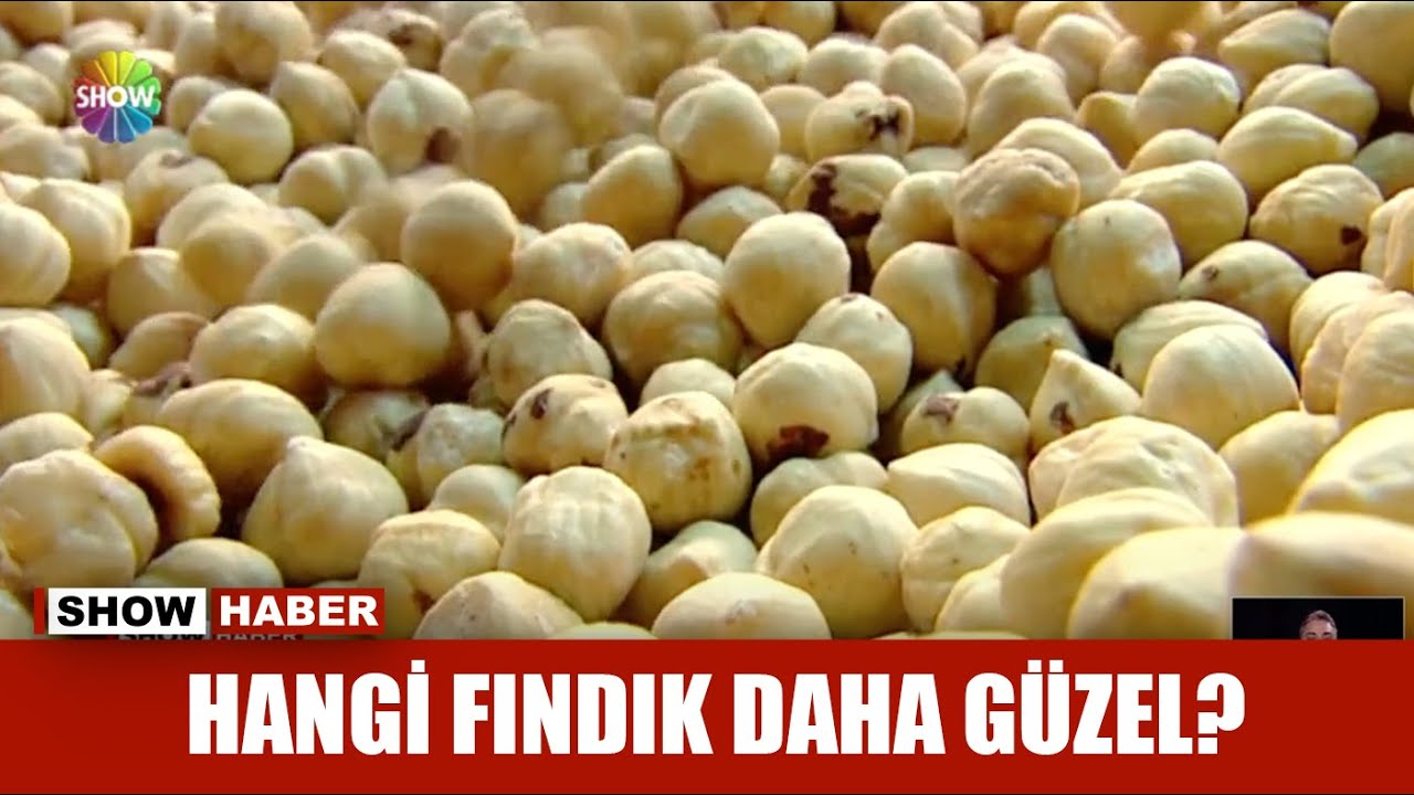 Ordu-Giresun fındık tartışması