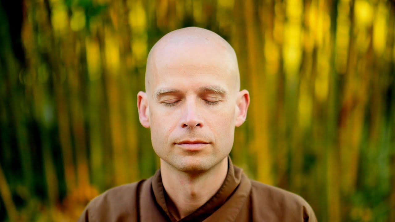 Our Attention | Brother Phap Luu