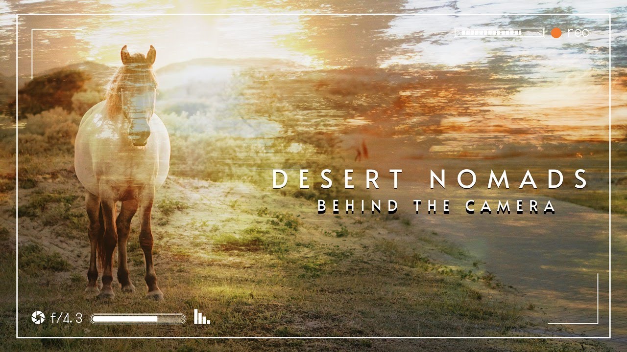 Wild Horses in Utah desert