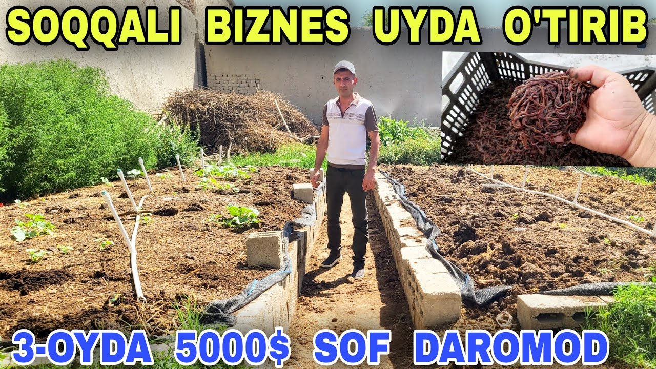 Narmanli Soqqali Biznes Kaliforniya Qizil Yomg'ir Chuvalchangi Va Biogums Biznesi Buxoroda бекбухоро